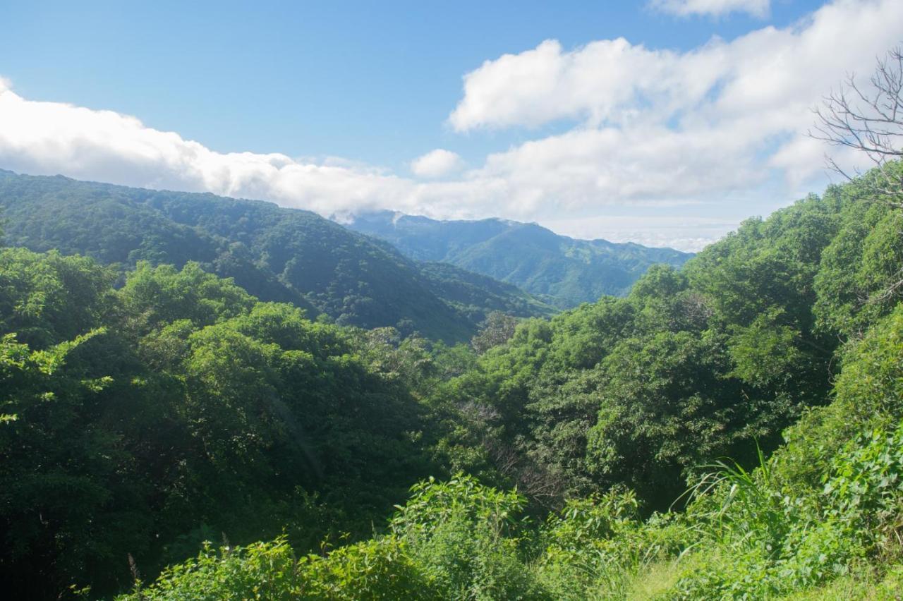 La Casa Bonita Lejlighed Monteverde Eksteriør billede