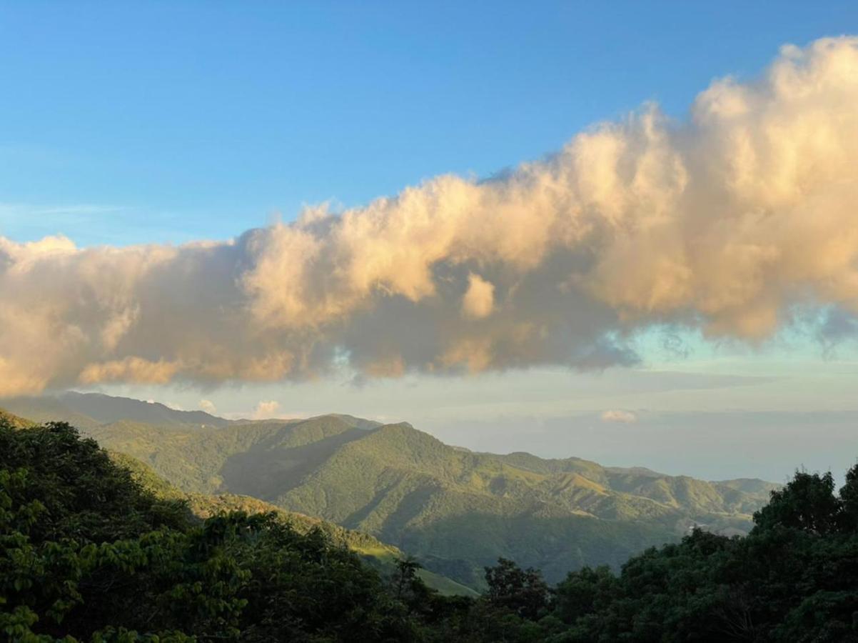 La Casa Bonita Lejlighed Monteverde Eksteriør billede