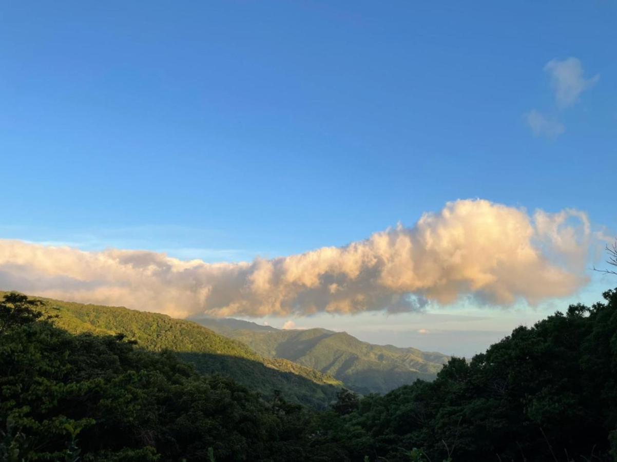 La Casa Bonita Lejlighed Monteverde Eksteriør billede